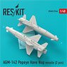 AGM-142 Popeye Have Nap Missile (2 Pieces) (Plastic model)