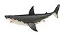 Latex Great white shark (Animal Figure)