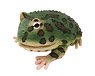 Latex Argentine horned frog
