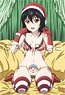 Strike the Blood Pillow Case (Yukina / Santa Costume) (Anime Toy)
