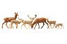 155509 (N) Fallow Deer + Red Deer, 12 Pieces (Model Train)