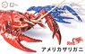 Biology Edition Crayfish (Red) (Plastic model)