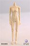 Female Base Model Semi Seamless Joint Pale Small Bust (Fashion Doll)