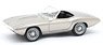 Ford XP Bordinat Cobra Concept Open 1965 Silver (Diecast Car)