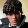 Fantastic Beasts: The Crimes of Grindelwald/Newt Scamander 1/12 Action Figure (Completed)