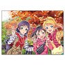 [Love Live!] Clear File muse 3rd Graders Ver. [2] (Anime Toy)