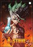 Dr.STONE 合皮パスケース A (キャラクターグッズ)