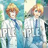 Uta no Prince-sama Shining Live Trading Clear Ticket File w/Mini Post Card Grateful White Day Another Shot Ver. (Set of 12) (Anime Toy)
