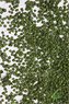 パウダー系素材 白樺の葉 (深緑) (プラモデル)