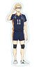 Haikyu!! Takusuta Kei Tsukishima (Anime Toy)