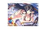 シノビマスター 閃乱カグラ NEW LINK B2タペストリー 斑鳩 (キャラクターグッズ)