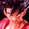 S.H.Figuarts Son Goku Kaioken (Completed)