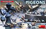Pigeons (Set of 36) (Plastic model)