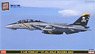 F-14B トムキャット `VF-103 ジョリー ロジャース 2002` (プラモデル)
