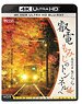 叡電 もみじのトンネルへ【4K HDR】 (Blu-ray)