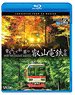 Blue Maple & Autumn Leaves Eizan Electric Railway All Line (Blu-ray)