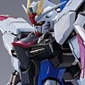 Metal Build Freedom Gundam Concept 2 (Completed)