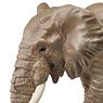 Ania AS-02 African Bush Elephant (w/Orange) (Animal Figure)