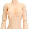 22cm Female Body Bust Size L (Natural) (Fashion Doll)