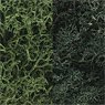 Lichen (Dark Green Mix) (Model Train)