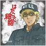 Cells at Work! Square Can Badge Killer T Cell (Anime Toy)