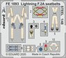 E.E.ライトニング F.2A シートベルト (ステンレス製) (エアフィックス用) (プラモデル)