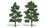 TR1516 (N/HO/O) Ready Made Realistic Trees 175mm Medium Green 6in-7in (15.2cm-17.7cm) 2 Distinct Trees (Model Train)
