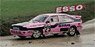 アウディ クワトロ A1 1987年 フランスラリークロス選手権 #23 Cathy Caly (ミニカー)