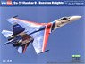Su-27 Flanker B Russian Knights Aerobatic Team (Plastic model)