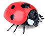R/C Ladybug (RC Model)