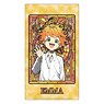 The Promised Neverland Stained Glass Series Antibacterial Mask Case Emma (Anime Toy)