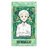 The Promised Neverland Stained Glass Series Antibacterial Mask Case Norman (Anime Toy)