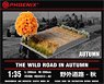 Wild Road in Autumn (30 x 20cm) (Plastic model)