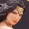 Artfx Wonder Woman -WW84- (Completed)