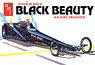 Steve McGee Black Beauty AA/Fuel Dragster (Model Car)