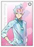 Fate/Grand Order - Absolute Demon Battlefront: Babylonia Pale Tone Series Synthetic Leather Pass Case Romani Archaman (Anime Toy)