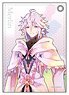 Fate/Grand Order - Absolute Demon Battlefront: Babylonia Pale Tone Series Synthetic Leather Pass Case Merlin (Anime Toy)
