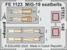 MiG-19 Seatbelts Steel (for Eduard/Trumpeter) (Plastic model)