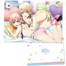 My Teen Romantic Comedy Snafu Climax Clear File A (Anime Toy)