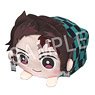 Demon Slayer: Kimetsu no Yaiba Mochikoro Cushion Tanjiro Kamado (Anime Toy)