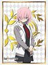 Bushiroad Sleeve Collection HG Vol.2631 Fate/Grand Order - Absolute Demon Battlefront: Babylonia [Mash Kyrielight (Casual Wear Ver.)] (Card Sleeve)