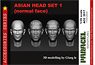 Asian Head Set 1 (Normal Face) (Plastic model)