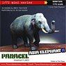 Asia Elephant A (Male) (Plastic model)