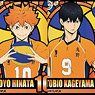 Slide Mirror Haikyu!! To The Top Vol.3 (Set of 10) (Anime Toy)