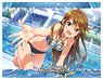The Idolm@ster Million Live! B2 Tapestry Charming Aqua Venus Megumi Tokoro Ver. (Anime Toy)