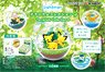 Pokemon Terrarium Collection 9 (Set of 6) (Shokugan)