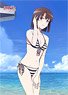 Saekano: How to Raise a Boring Girlfriend Fine Especially Illustrated B2 Tapestry (Megumi/Swimsuit) (Anime Toy)
