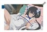 Is It Wrong to Try to Pick Up Girls in a Dungeon? III Water-Repellent Pouch [Hestia] (Anime Toy)