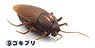 R/C Cockroach (RC Model)