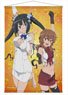 Is It Wrong to Try to Pick Up Girls in a Dungeon? III B2 Tapestry [Hestia & Liliruca Arde] (Anime Toy)
